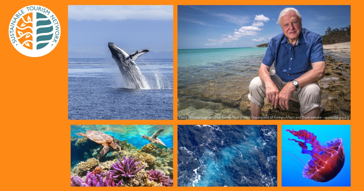 Celebrating the release of Ocean and his 99th birthday David-Attenborough-at-Great-Barrier-Reef-Photo-Department-of-Foreign-Affairs-and-Trade-website-–-www.dfat_.gov_.au_.jpg