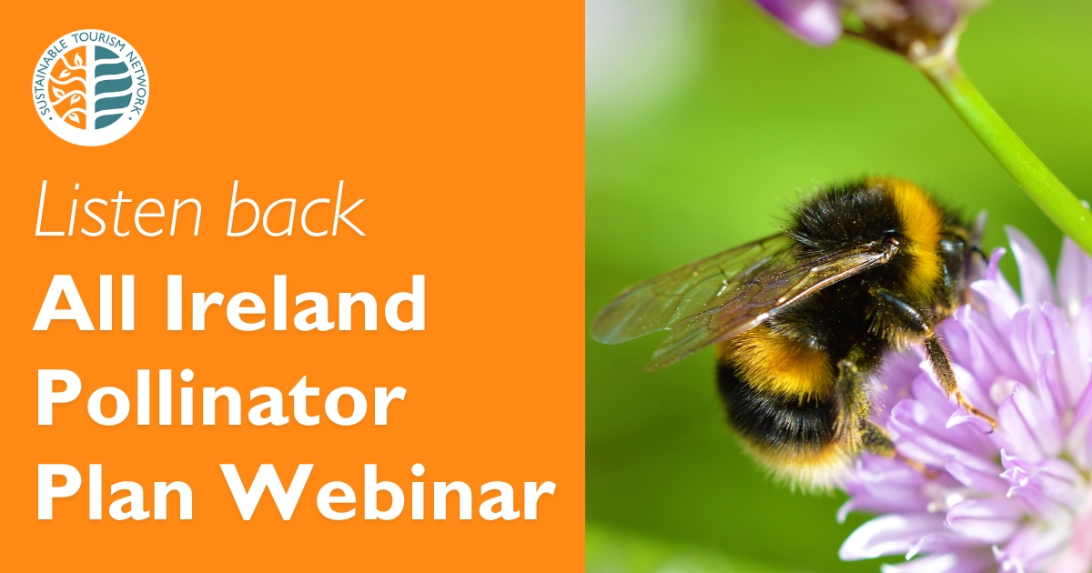 Listen back All Ireland Pollinator Plan Webinar