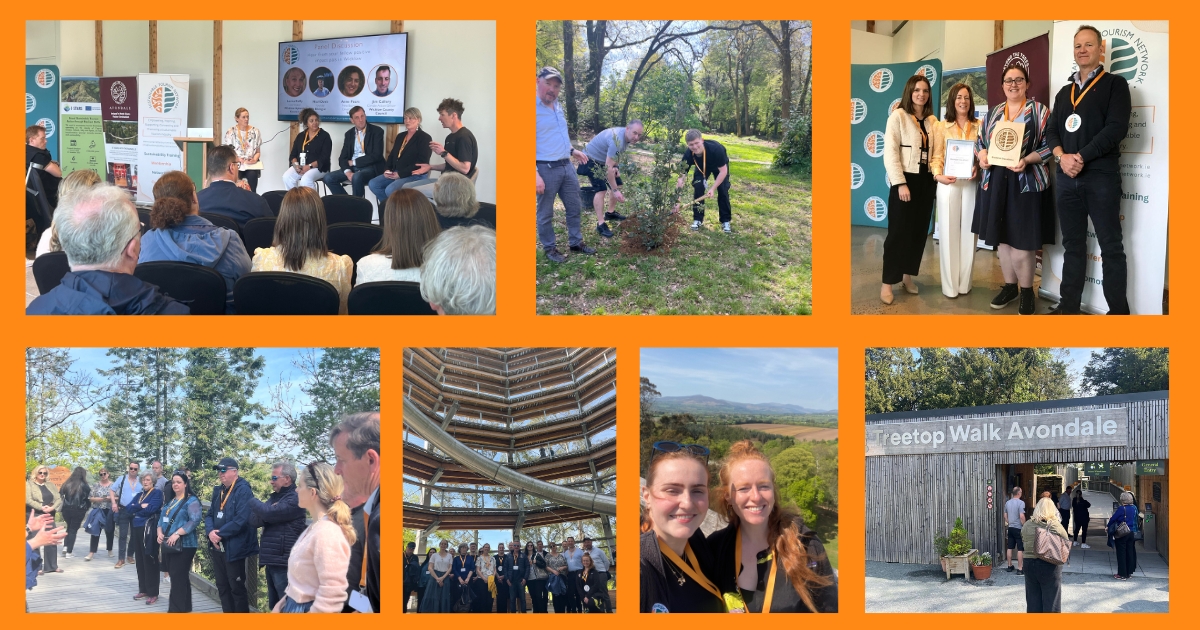 Sustainable Tourism Networking Regional Event in Beyond The Trees, Co Wicklow.