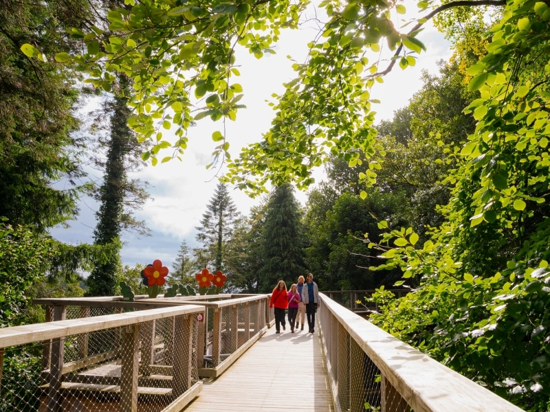 Treetop Walk, Beyond the Trees Avondale, Co Wicklow
