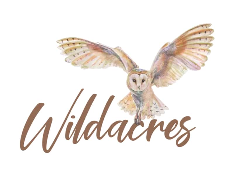 Wildacres logo with image of flying barn owl.