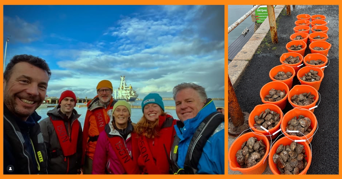 Green Ocean Foundation Oysters Project